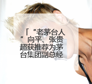 “老茅台人”向平、张贵超获推荐为茅台集团副总经理人选，后者是集团最年轻党委委员