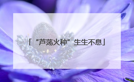 “芦荡火种”生生不息