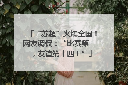“苏超”火爆全国！网友调侃：“比赛第一，友谊第十四！”