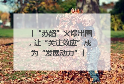 “苏超”火爆出圈，让“关注效应”成为“发展动力”