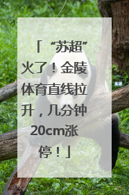 “苏超”火了！金陵体育直线拉升，几分钟20cm涨停！