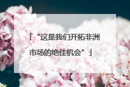“这是我们开拓非洲市场的绝佳机会”