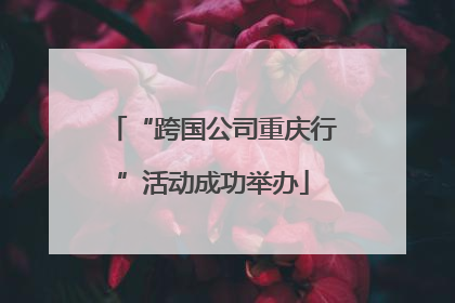 “跨国公司重庆行”活动成功举办