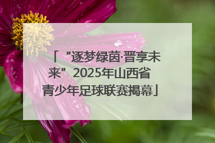 “逐梦绿茵·晋享未来”2025年山西省青少年足球联赛揭幕