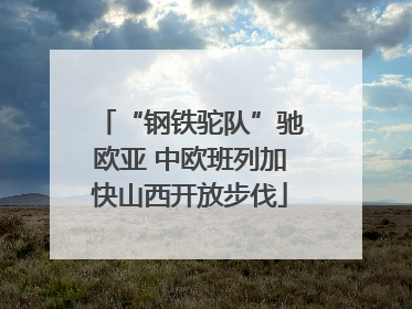 “钢铁驼队”驰欧亚 中欧班列加快山西开放步伐