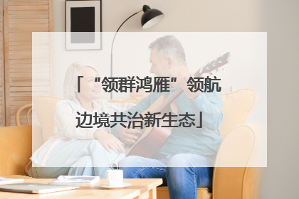 “领群鸿雁”领航边境共治新生态