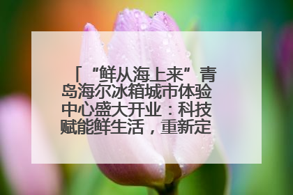 “鲜从海上来”青岛海尔冰箱城市体验中心盛大开业：科技赋能鲜生活，重新定义全球饮食未来