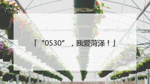 “0530”，我爱菏泽！