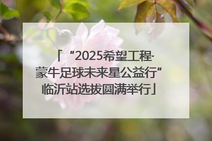 “2025希望工程·蒙牛足球未来星公益行”临沂站选拔圆满举行