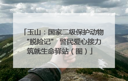 玉山：国家二级保护动物“脱险记” 警民爱心接力筑就生命驿站（图）