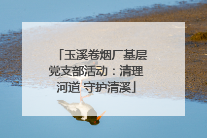 玉溪卷烟厂基层党支部活动：清理河道 守护清溪