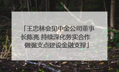 王忠林会见中金公司董事长陈亮 持续深化务实合作 做强支点建设金融支撑
