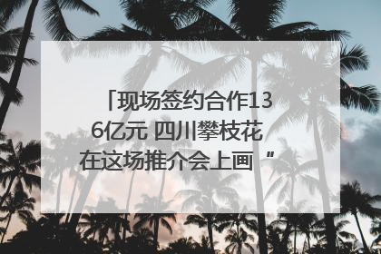 现场签约合作136亿元 四川攀枝花在这场推介会上画“图谱”列“清单”
