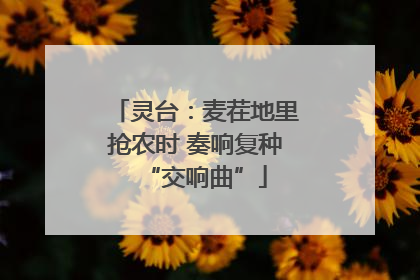 灵台：麦茬地里抢农时 奏响复种“交响曲”