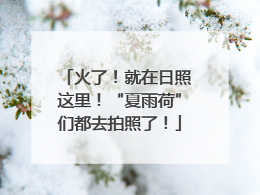 火了！就在日照这里！“夏雨荷”们都去拍照了！