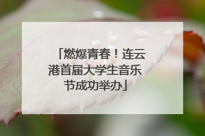 燃爆青春！连云港首届大学生音乐节成功举办
