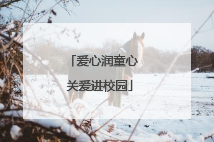 爱心润童心 关爱进校园