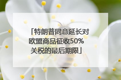 特朗普同意延长对欧盟商品征收50%关税的最后期限
