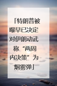 特朗普被曝早已决定对伊朗动武 称“两周内决策”为烟雾弹