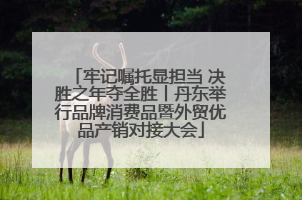 牢记嘱托显担当 决胜之年夺全胜丨丹东举行品牌消费品暨外贸优品产销对接大会