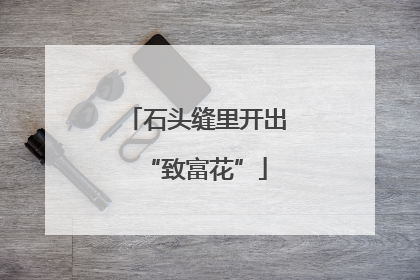 石头缝里开出“致富花”