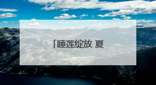 睡莲绽放 夏日限定的诗意