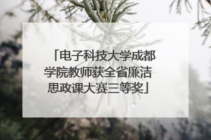 电子科技大学成都学院教师获全省廉洁思政课大赛三等奖