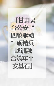 甘肃灵台公安“四轮驱动”砺精兵 战训融合筑牢平安基石