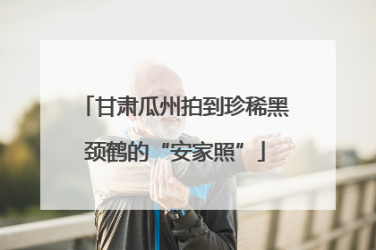 甘肃瓜州拍到珍稀黑颈鹤的“安家照”