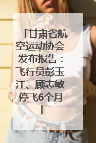 甘肃省航空运动协会发布报告：飞行员彭玉江、顾志敏停飞6个月