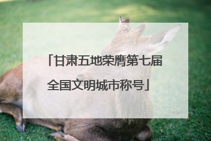 甘肃五地荣膺第七届全国文明城市称号