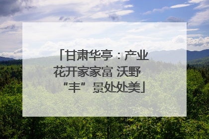 甘肃华亭：产业花开家家富 沃野“丰”景处处美