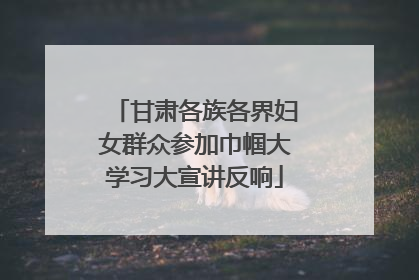 甘肃各族各界妇女群众参加巾帼大学习大宣讲反响