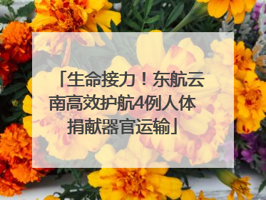 生命接力！东航云南高效护航4例人体捐献器官运输