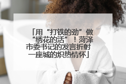 用“打铁的劲”做“绣花的活”！菏泽市委书记的发言折射一座城的炽热情怀