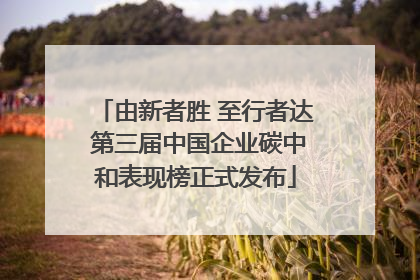 由新者胜 至行者达 第三届中国企业碳中和表现榜正式发布