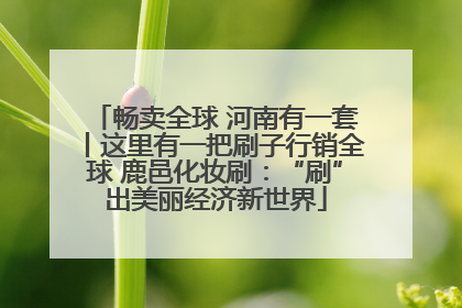 畅卖全球 河南有一套丨这里有一把刷子行销全球 鹿邑化妆刷：“刷”出美丽经济新世界