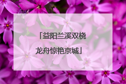 益阳兰溪双桡龙舟惊艳京城