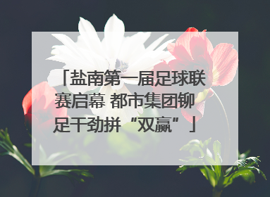 盐南第一届足球联赛启幕 都市集团铆足干劲拼“双赢”
