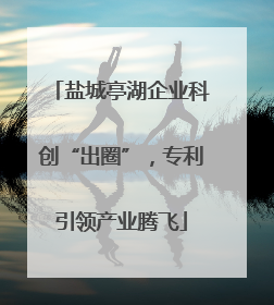 盐城亭湖企业科创“出圈”，专利引领产业腾飞