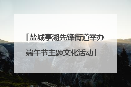盐城亭湖先锋街道举办端午节主题文化活动
