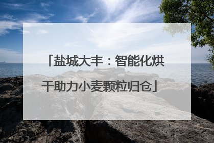 盐城大丰：智能化烘干助力小麦颗粒归仓