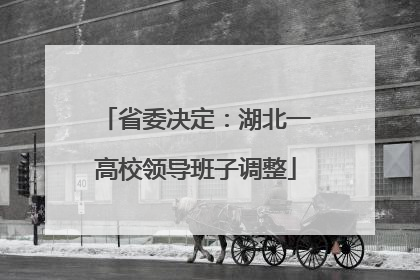 省委决定：湖北一高校领导班子调整