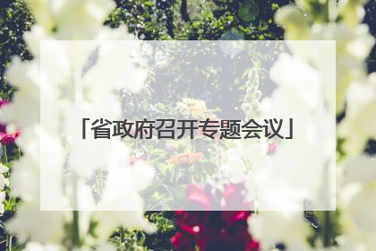 省政府召开专题会议