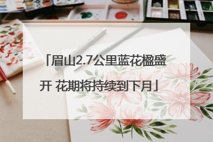 眉山2.7公里蓝花楹盛开 花期将持续到下月
