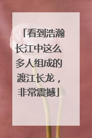 看到浩瀚长江中这么多人组成的渡江长龙，非常震撼