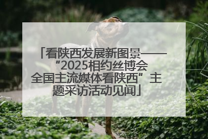 看陕西发展新图景——“2025相约丝博会 全国主流媒体看陕西”主题采访活动见闻