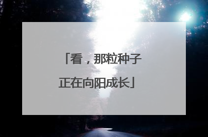 看，那粒种子正在向阳成长