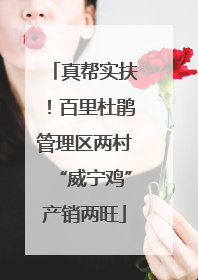 真帮实扶！百里杜鹃管理区两村“威宁鸡”产销两旺