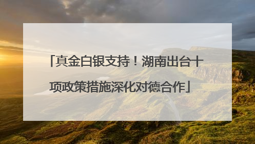 真金白银支持！湖南出台十项政策措施深化对德合作